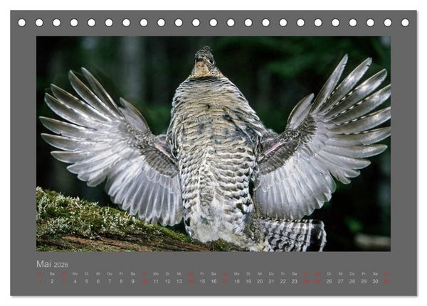 Produktbild: V&Ouml;GEL (Tischkalender 2026 DIN A5 quer), CALVENDO Monatskalender