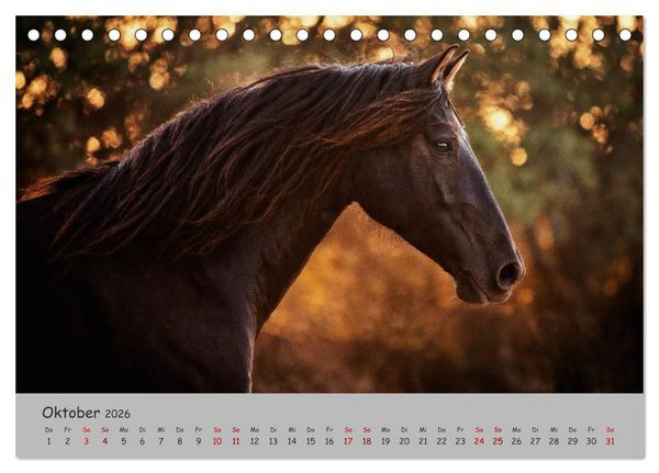 Produktbild: Spiegel deiner Seele (Tischkalender 2026 DIN A5 quer), CALVENDO Monatskalender