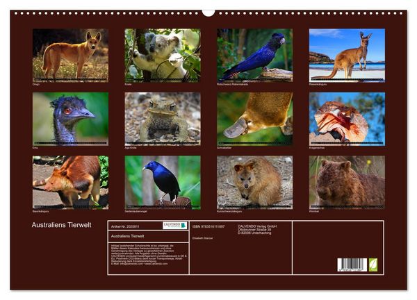 Produktbild: Australiens Tierwelt (Wandkalender 2026 DIN A2 quer), CALVENDO Monatskalender