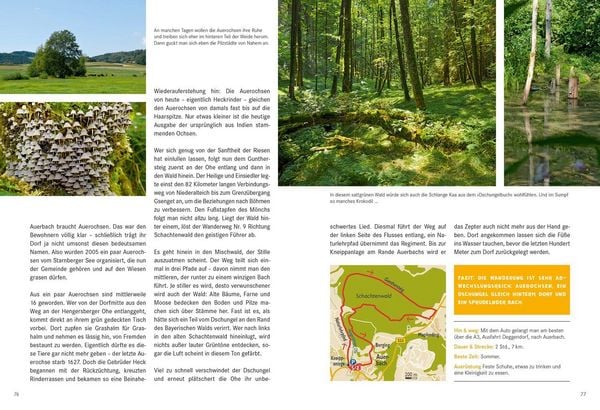 Produktbild: 52 kleine & gro&szlig;e Eskapaden im Bayerischen Wald