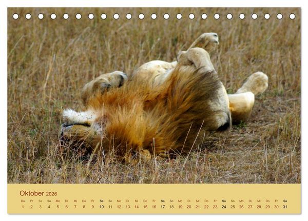 Produktbild: Safari Impressionen / Kenia (Tischkalender 2026 DIN A5 quer), CALVENDO Monatskalender