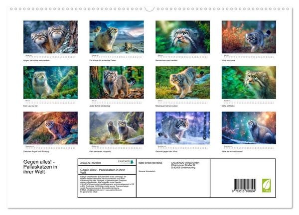 Produktbild: Gegen alles! - Pallaskatzen in ihrer Welt (hochwertiger Premium Wandkalender 2027 DIN A2 quer), Kunstdruck in Hochglanz