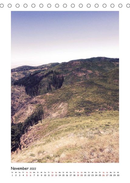 Produktbild: La Gomera - Instantfotografie (Tischkalender 2022 DIN A5 hoch)