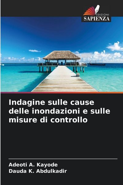 Produktbild: Indagine sulle cause delle inondazioni e sulle misure di controllo