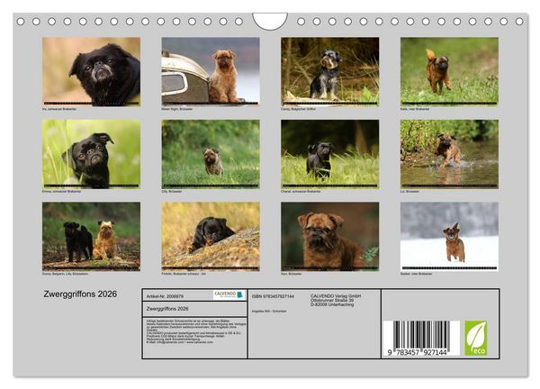 Produktbild: Zwerggriffons 2026 (Wandkalender 2026 DIN A4 quer), CALVENDO Monatskalender