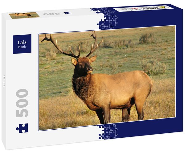 Produktbild: Lais Puzzle Hirsch 500 Teile