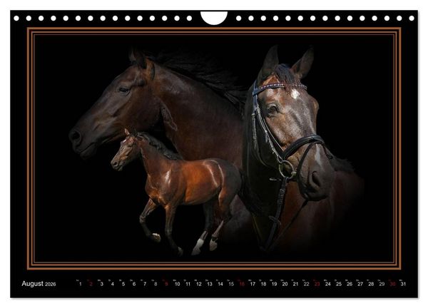 Produktbild: Traumpferde-ART-Collection (Wandkalender 2026 DIN A4 quer), CALVENDO Monatskalender