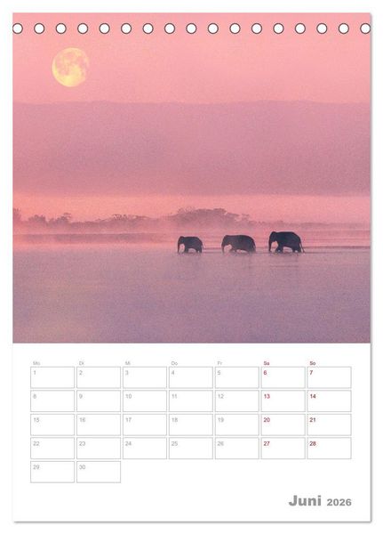 Produktbild: VOLLMOND-Planer - Im Licht der Nacht (Tischkalender 2026 DIN A5 hoch), CALVENDO Monatskalender