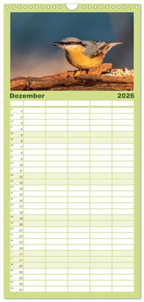 Produktbild: Familienplaner 2026 - Der Kernbei&szlig;er und seine gefiederten Gesellen mit 5 Spalten (Wandkalender, 21 x 45 cm) CALVENDO