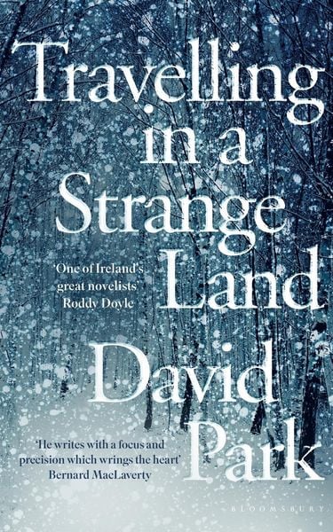 Produktbild: Travelling in a Strange Land