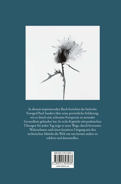 Produktbild: Im Augenblick. Ein Wegweiser zu achtsamer Fotografie