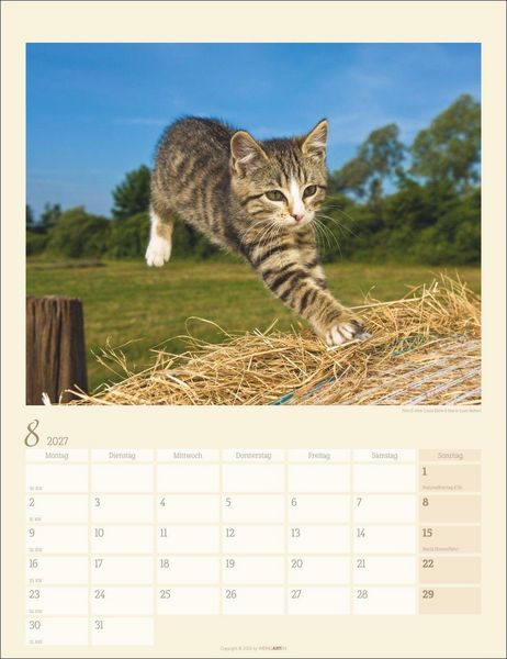 Produktbild: Katzen auf dem Lande Kalender 2027