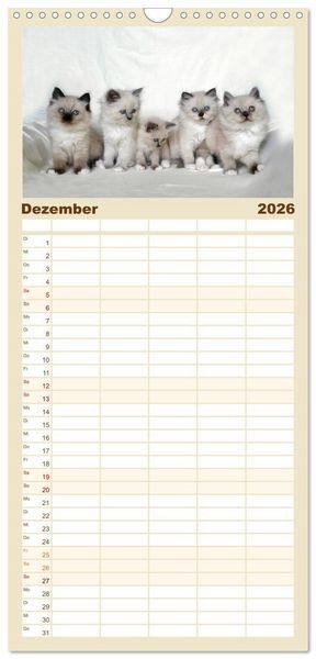 Produktbild: Familienplaner 2026 - Katzenparade mit 5 Spalten (Wandkalender, 21 x 45 cm) CALVENDO