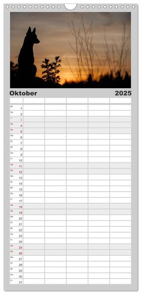 Familienplaner 2025 - Belgische Schäferhunde - Der Malinois im Licht mit 5 Spalten (Wandkalender, 21 x 45 cm) CALVENDO