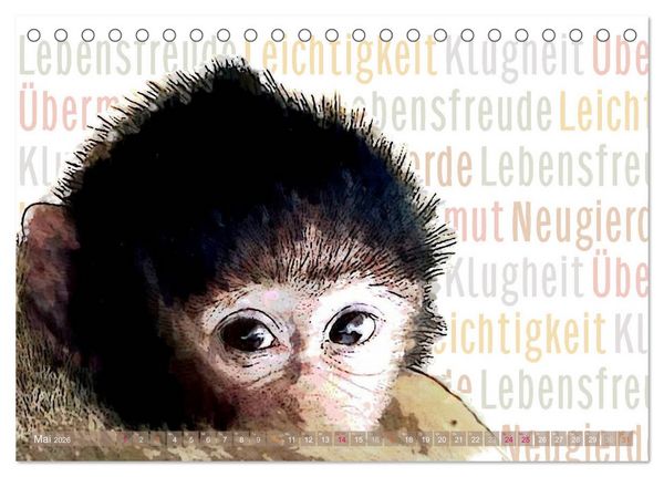 Produktbild: Mein wildes Krafttier und seine spirituellen Werte. (Tischkalender 2026 DIN A5 quer), CALVENDO Monatskalender