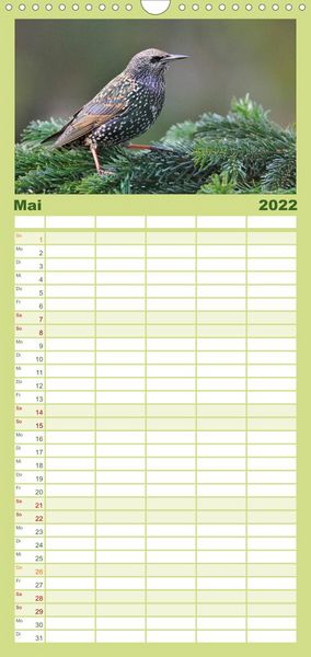 Produktbild: Familienplaner Heimische Gartenv&ouml;gel (Wandkalender 2022 , 21 cm x 45 cm, hoch)