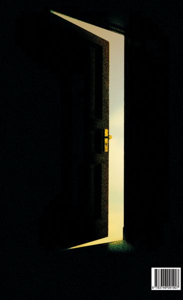 Produktbild: Ins Licht