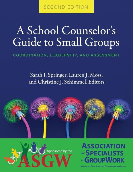 Produktbild: A School Counselor's Guide to Small Groups