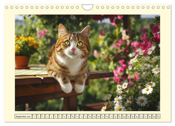 Produktbild: Geliebte Katzen. Unsere zauberhaften Hauskatzen im Garten (Wandkalender 2026 DIN A4 quer), CALVENDO Monatskalender