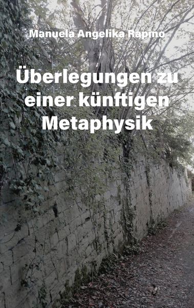 Produktbild: &Uuml;berlegungen zu einer k&uuml;nftigen Metaphysik
