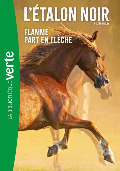 Produktbild: L'Etalon Noir NED 12- Flamme part en fl&egrave;che