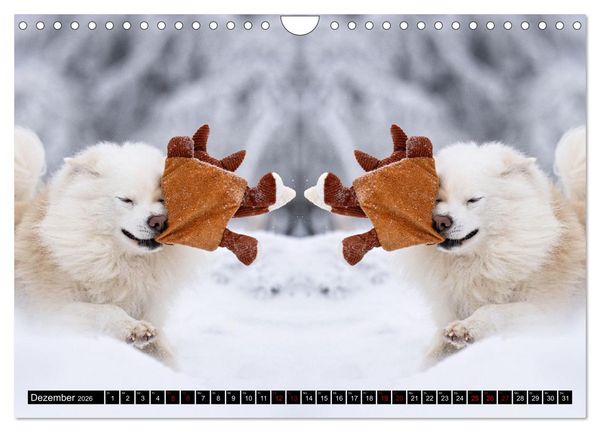 Produktbild: Mit doppelter Power durch das Jahr (Wandkalender 2026 DIN A4 quer), CALVENDO Monatskalender
