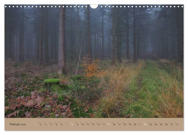 Produktbild: Unser Wald - Magische Sichten in norddeutsche W&auml;lder (Wandkalender 2026 DIN A3 quer), CALVENDO Monatskalender