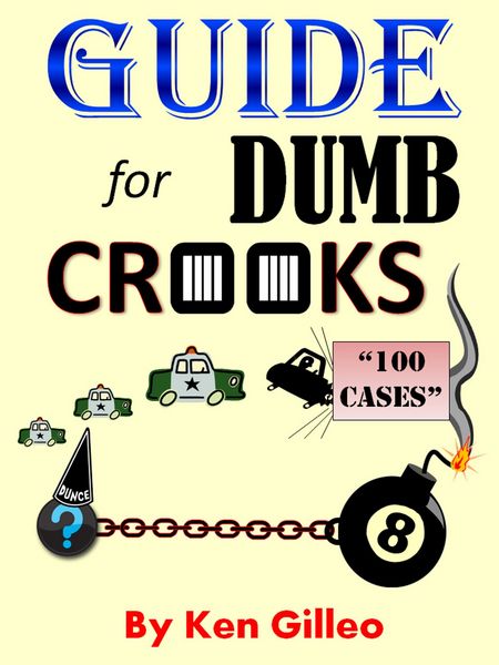 Produktbild: Guide for Dumb Crooks