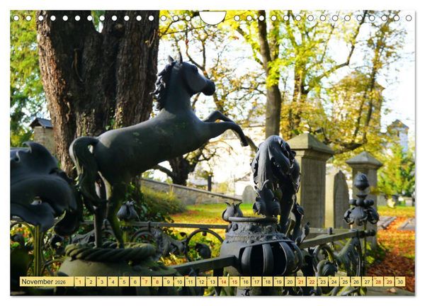 Produktbild: Stolberg mit meinem Blick (Wandkalender 2026 DIN A4 quer), CALVENDO Monatskalender