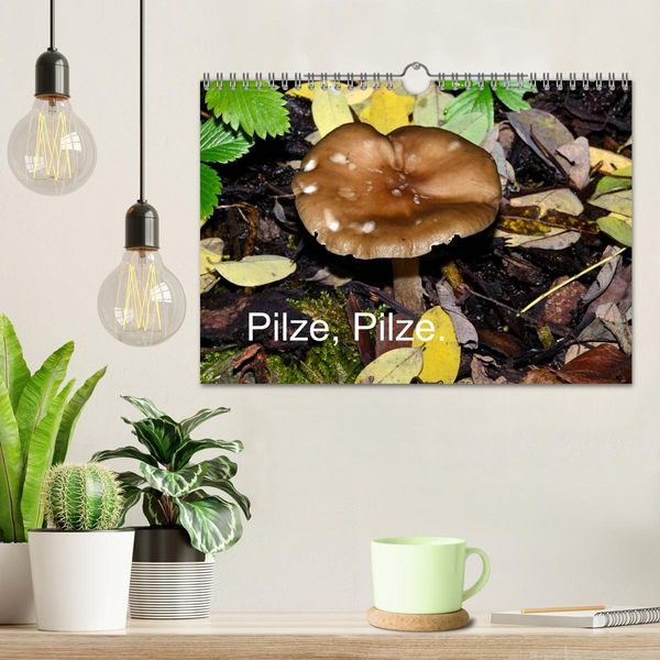 Produktbild: Pilze, Pilze (Wandkalender 2026 DIN A4 quer), CALVENDO Monatskalender