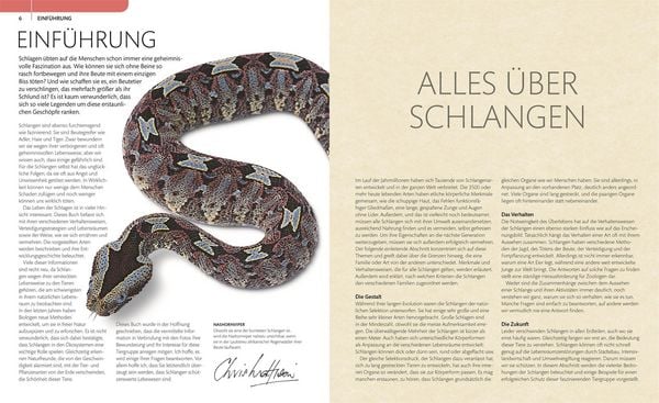 Produktbild: Schlangen