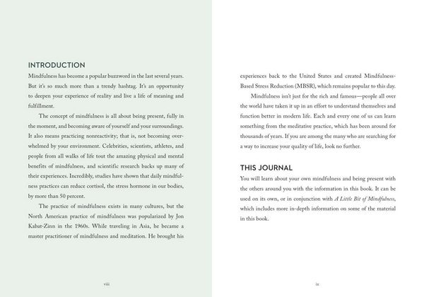 Produktbild: A Little Bit of Mindfulness Guided Journal