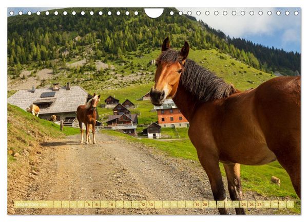 Produktbild: Die Feistritzer Alm - Wandern in den K&auml;rntner Bergen (Wandkalender 2026 DIN A4 quer), CALVENDO Monatskalender