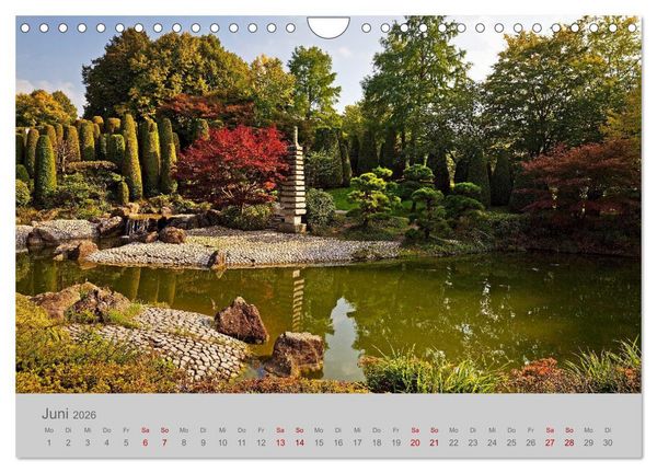 Produktbild: Bonn Die Stadt am Rhein (Wandkalender 2026 DIN A4 quer), CALVENDO Monatskalender