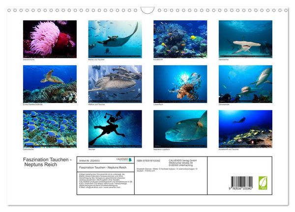 Produktbild: Faszination Tauchen - Neptuns Reich (Wandkalender 2026 DIN A3 quer), CALVENDO Monatskalender
