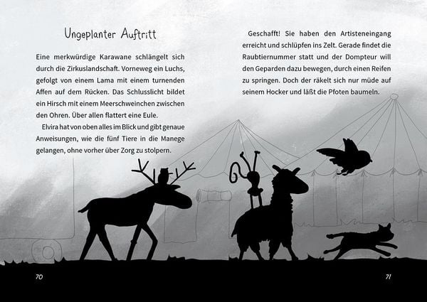 Produktbild: Das Wilde Haus der Tiere &ndash; Das Drama-Lama