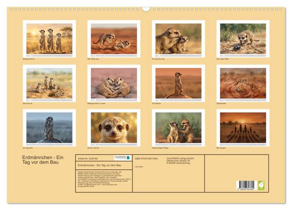 Produktbild: Erdm&auml;nnchen - Ein Tag vor dem Bau (Wandkalender 2027 DIN A2 quer), CALVENDO Monatskalender