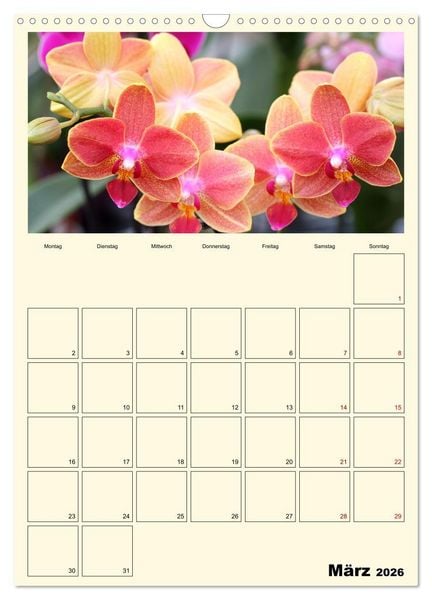 Produktbild: Orchideentr&auml;ume (Wandkalender 2026 DIN A3 hoch), CALVENDO Monatskalender