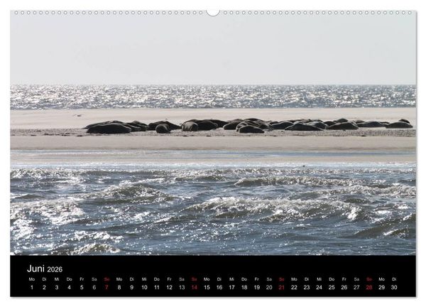 Produktbild: Sylt 2026 (hochwertiger Premium Wandkalender 2026 DIN A2 quer), Kunstdruck in Hochglanz
