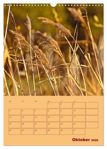 Produktbild: Wald- und Wiesenkalender 2026 Planer (Wandkalender 2026 DIN A3 hoch), CALVENDO Monatskalender