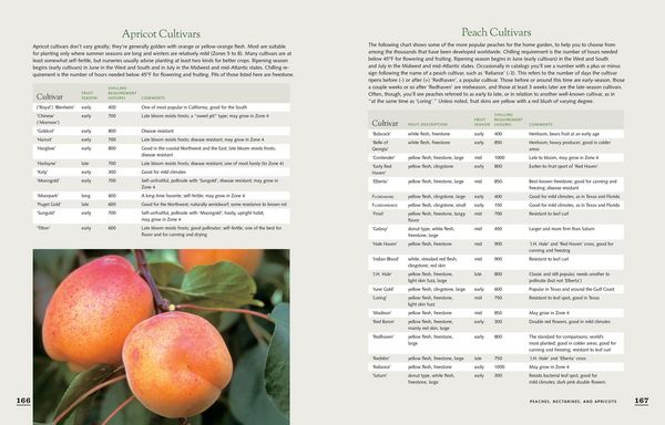 Produktbild: The Fruit Gardener's Bible
