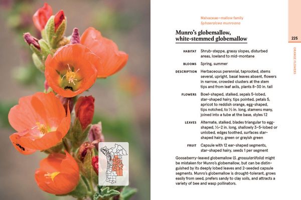 Produktbild: Eastern Washington and Oregon in Bloom