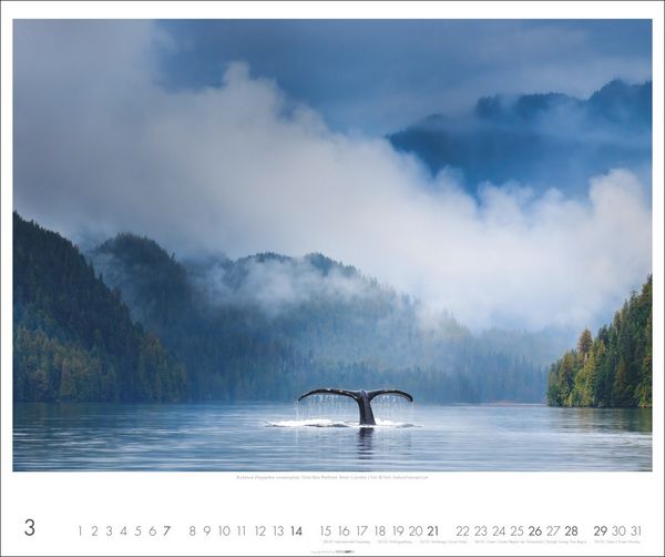 Produktbild: Kanada Kalender 2027 - Der Ruf der Wildnis