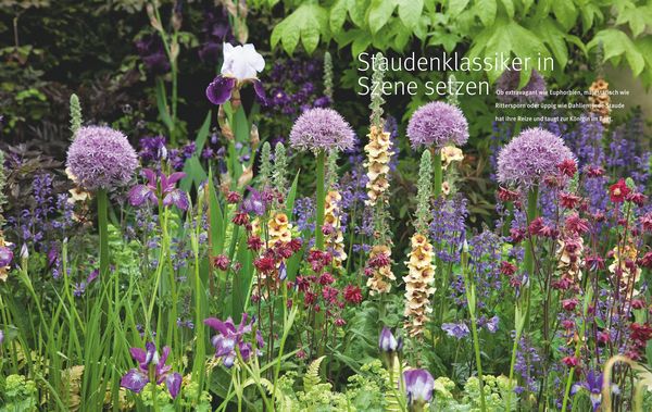 Produktbild: Ganzj&auml;hrig attraktive Beete mit Blatt und Bl&uuml;te