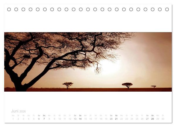 Produktbild: Serengeti Panorama (Tischkalender 2026 DIN A5 quer), CALVENDO Monatskalender