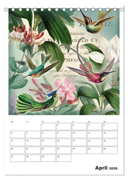 Produktbild: Das Paradies der Kolibris (Tischkalender 2026 DIN A5 hoch), CALVENDO Monatskalender
