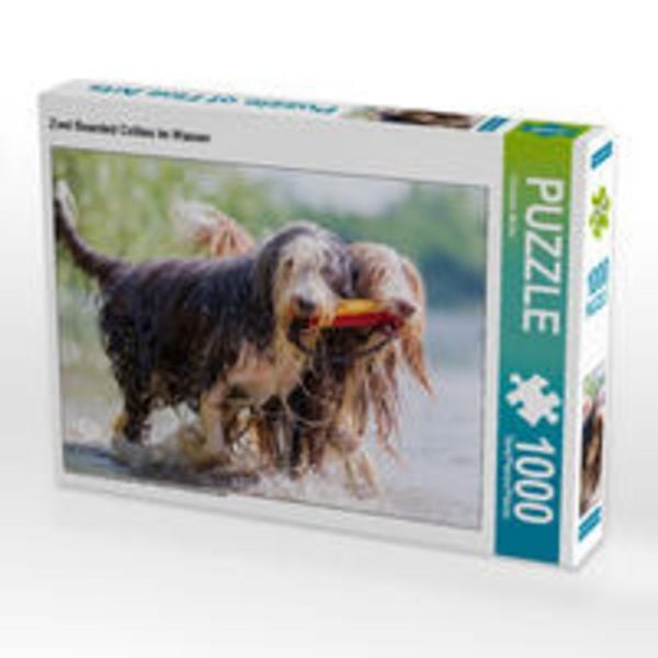 CALVENDO Puzzle Zwei Bearded Collies im Wasser | 1000 Teile Lege-Größe 64x48cm Foto-Puzzle für glückliche Stunden