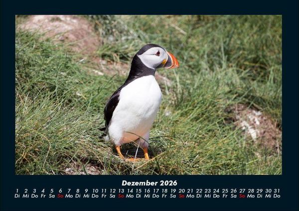 Produktbild: Welt der V&ouml;gel 2026 Fotokalender DIN A4