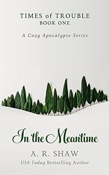 Produktbild: In the Meantime (Times of Trouble, #1)
