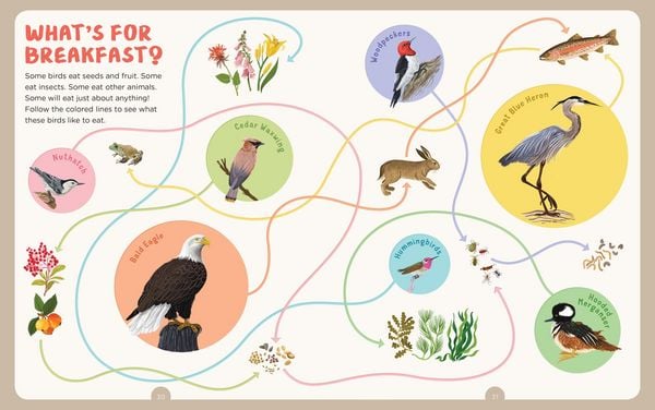Produktbild: Backpack Explorer: Bird Watch